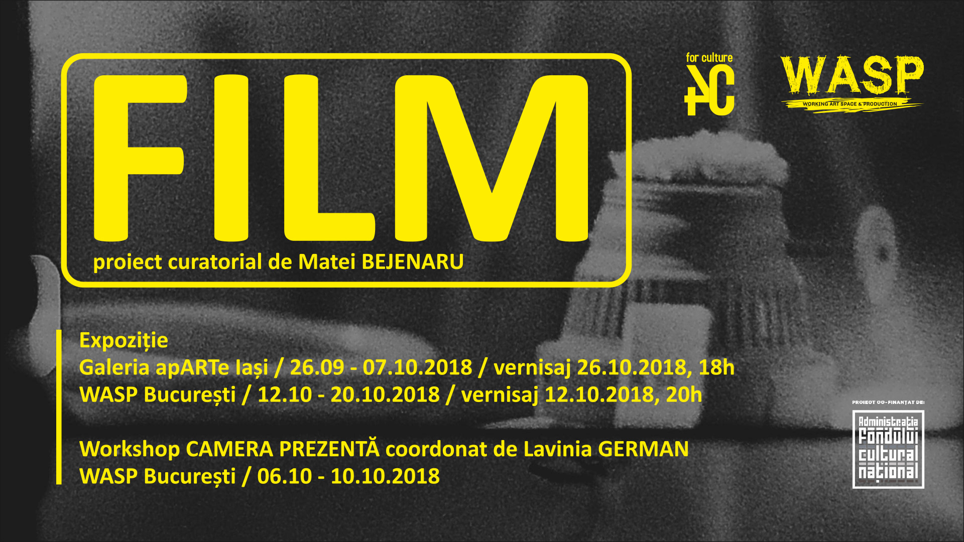 FILM - proiect curatorial, Galeria apARTe Iași